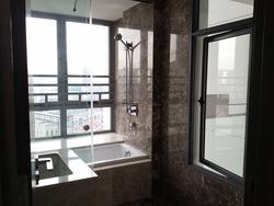 Starlight Suites (D9), Apartment #140208752